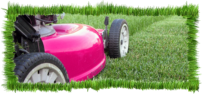 lawn cutting weston super mare