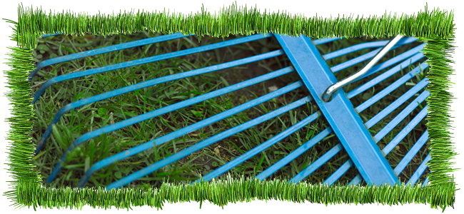 lawn scarification